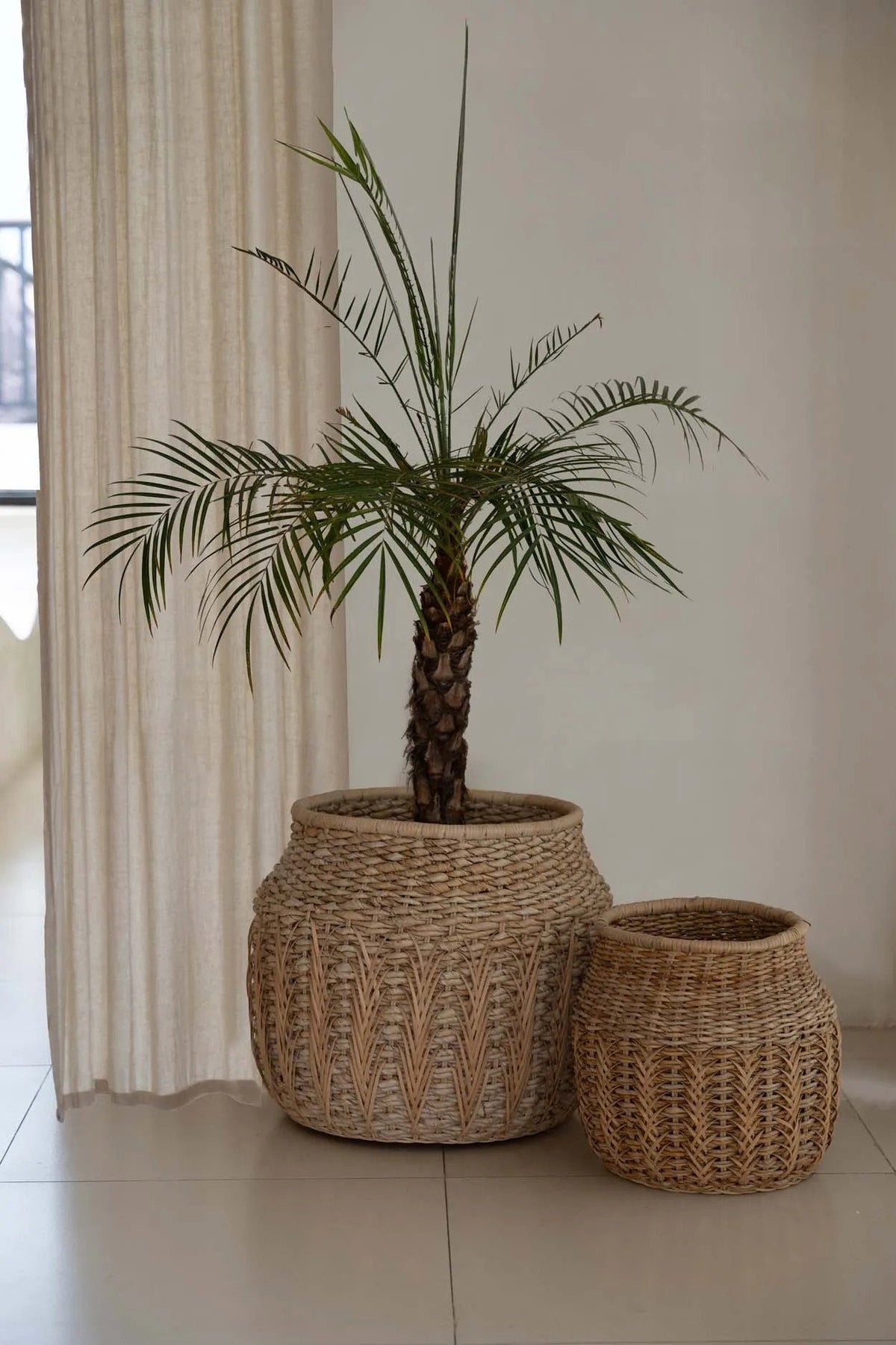 BB - Mand Luziru - Natuurlook - M_40