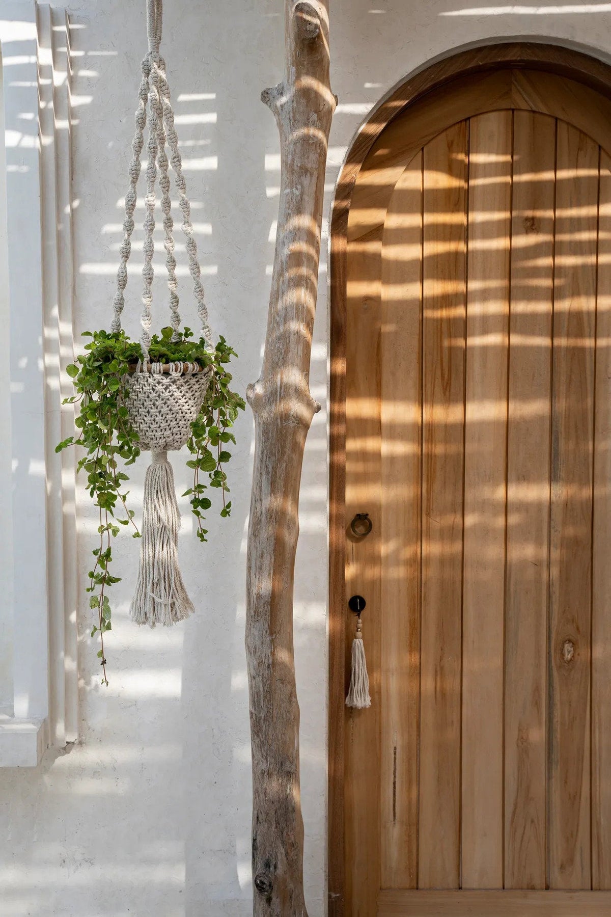 BB - Support pour plantes Twisted Macramé - Aspect naturel blanc -S