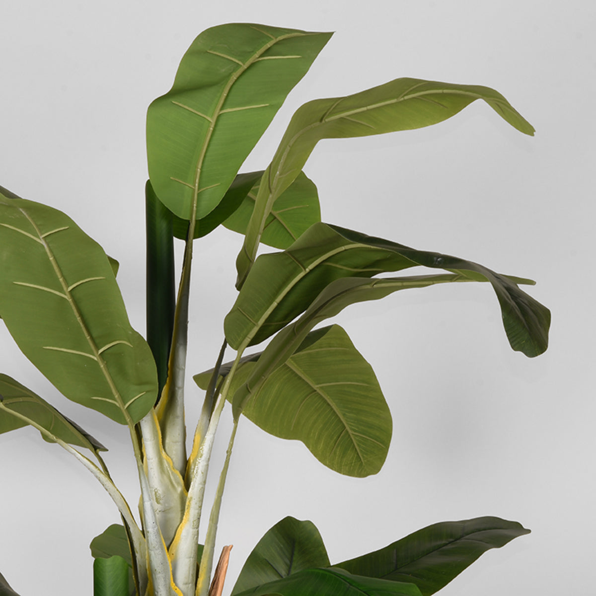 LABEL51 Musa - Vert - Plastique - 180 cm