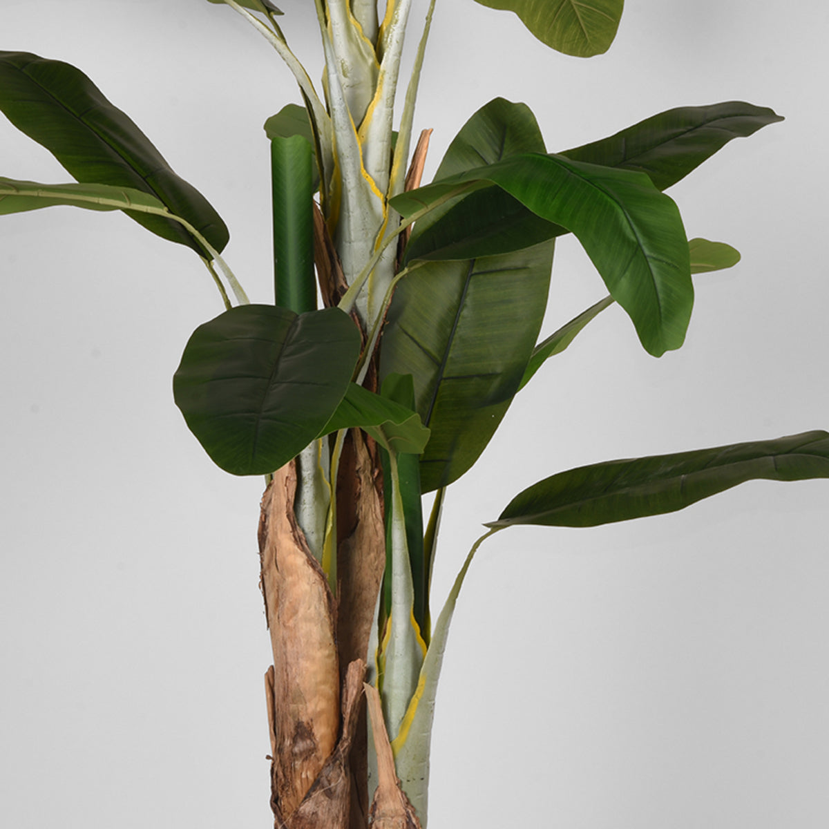 LABEL51 Musa - Vert - Plastique - 180 cm