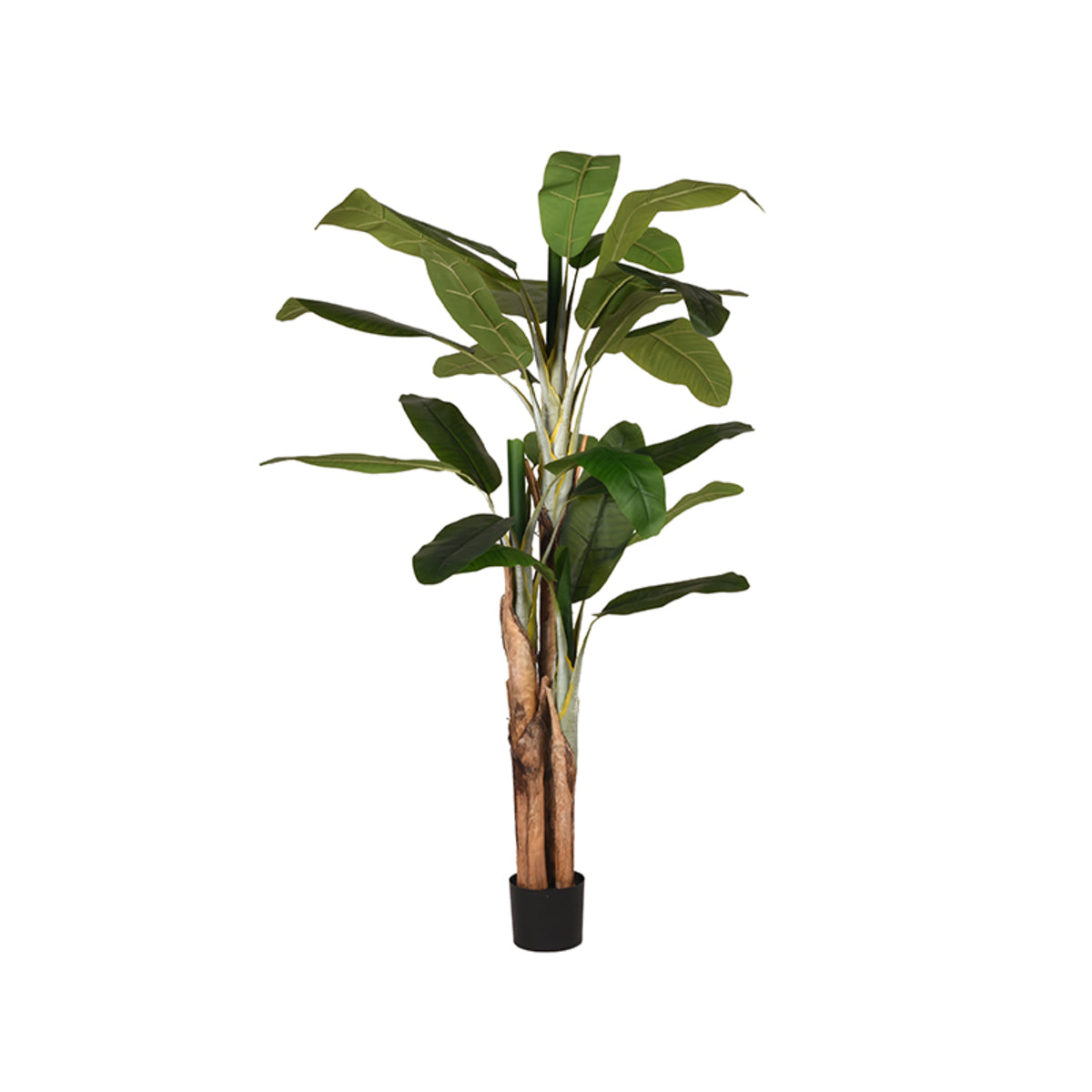 LABEL51 Musa - Vert - Plastique - 180 cm