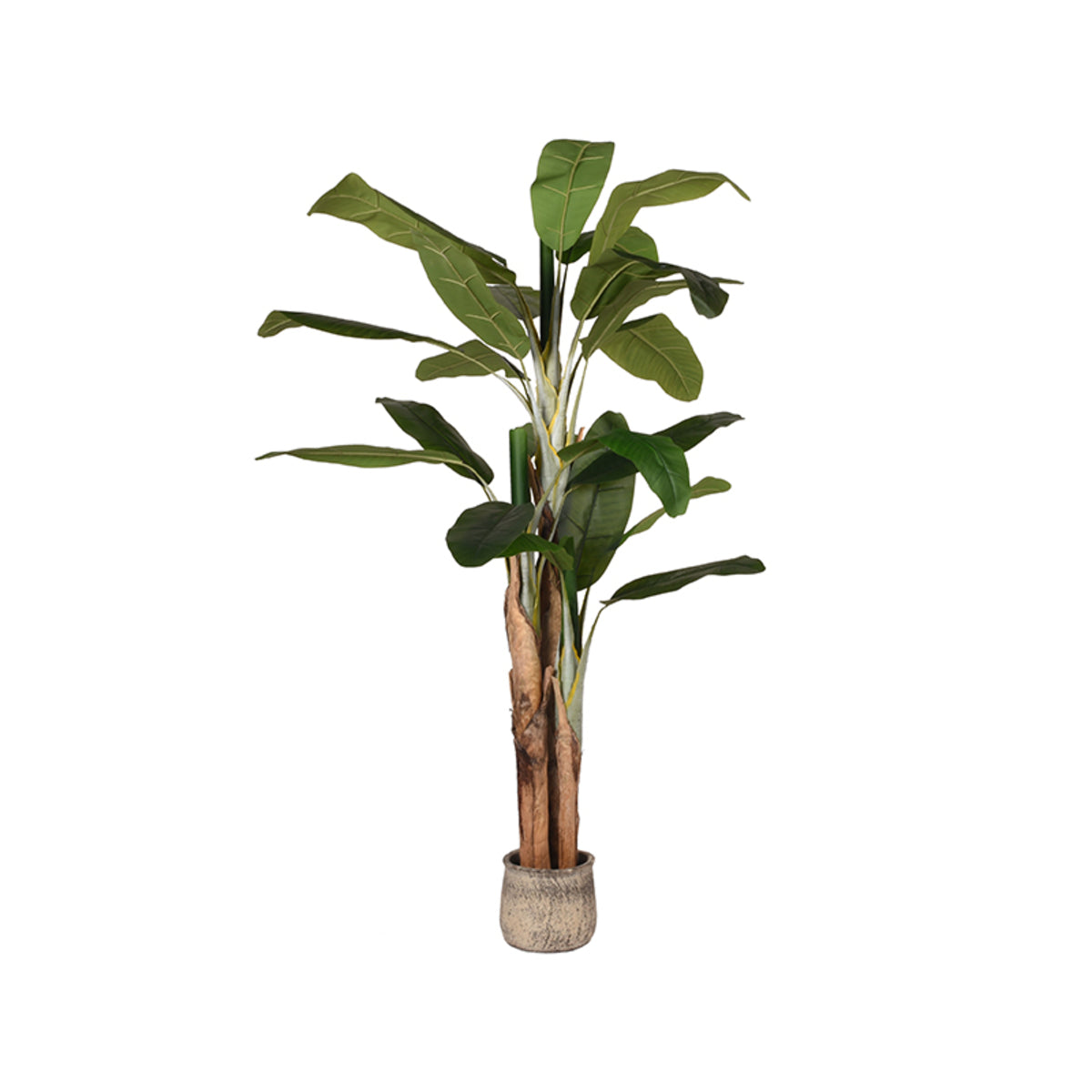 LABEL51 Musa - Vert - Plastique - 180 cm